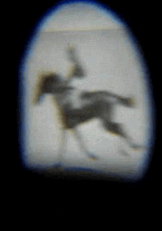 Eadweard Muybridge