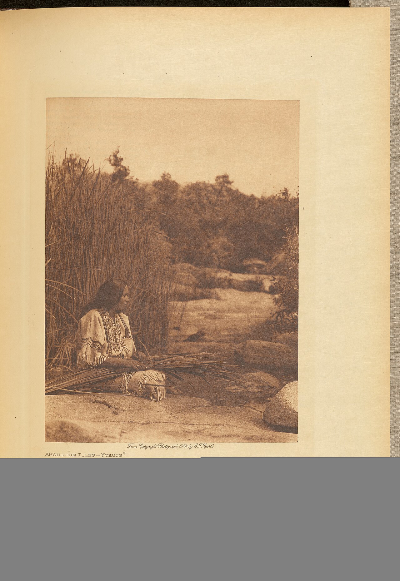 Edward S. Curtis